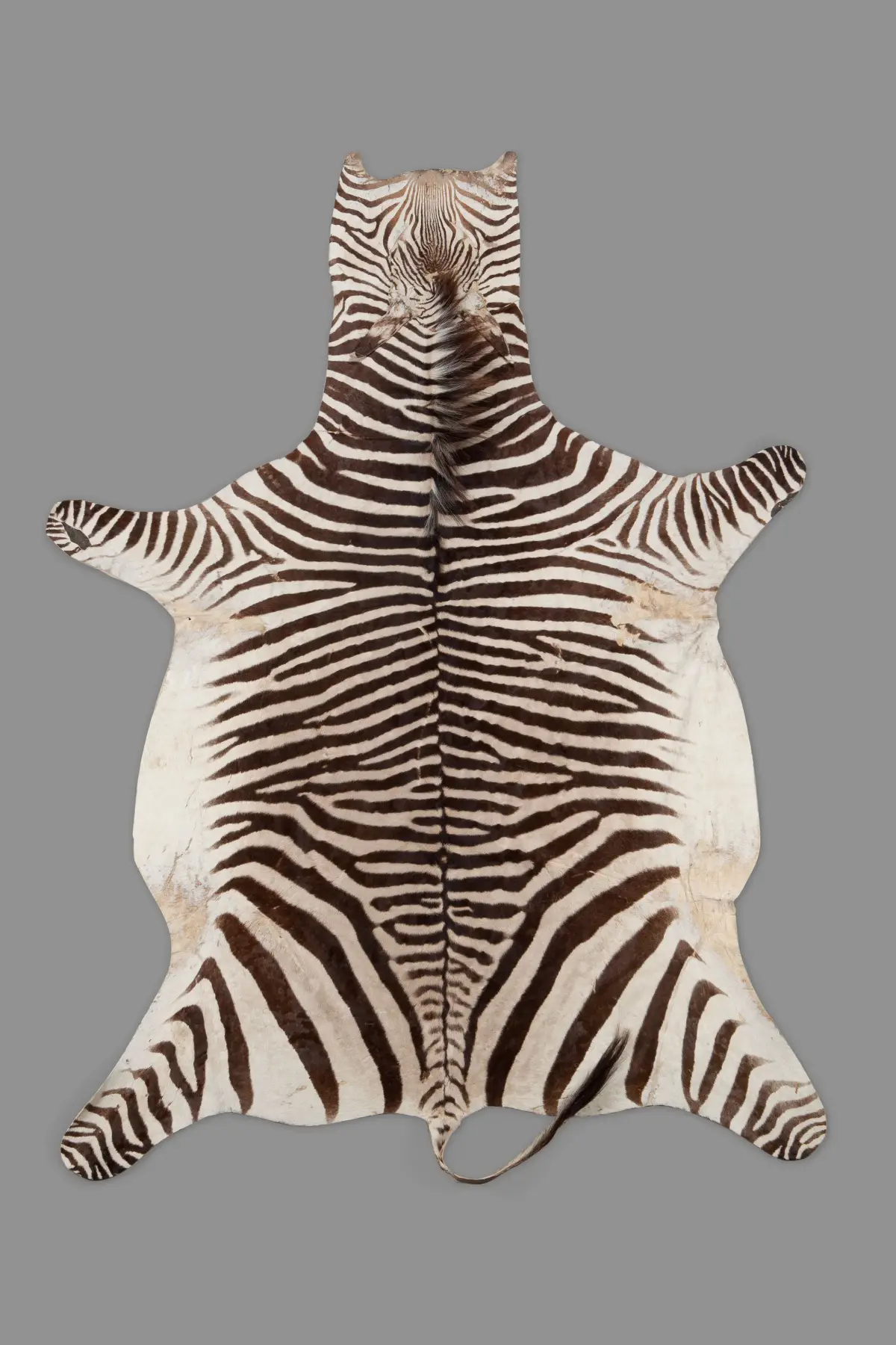 Animal pelt, studio product photography